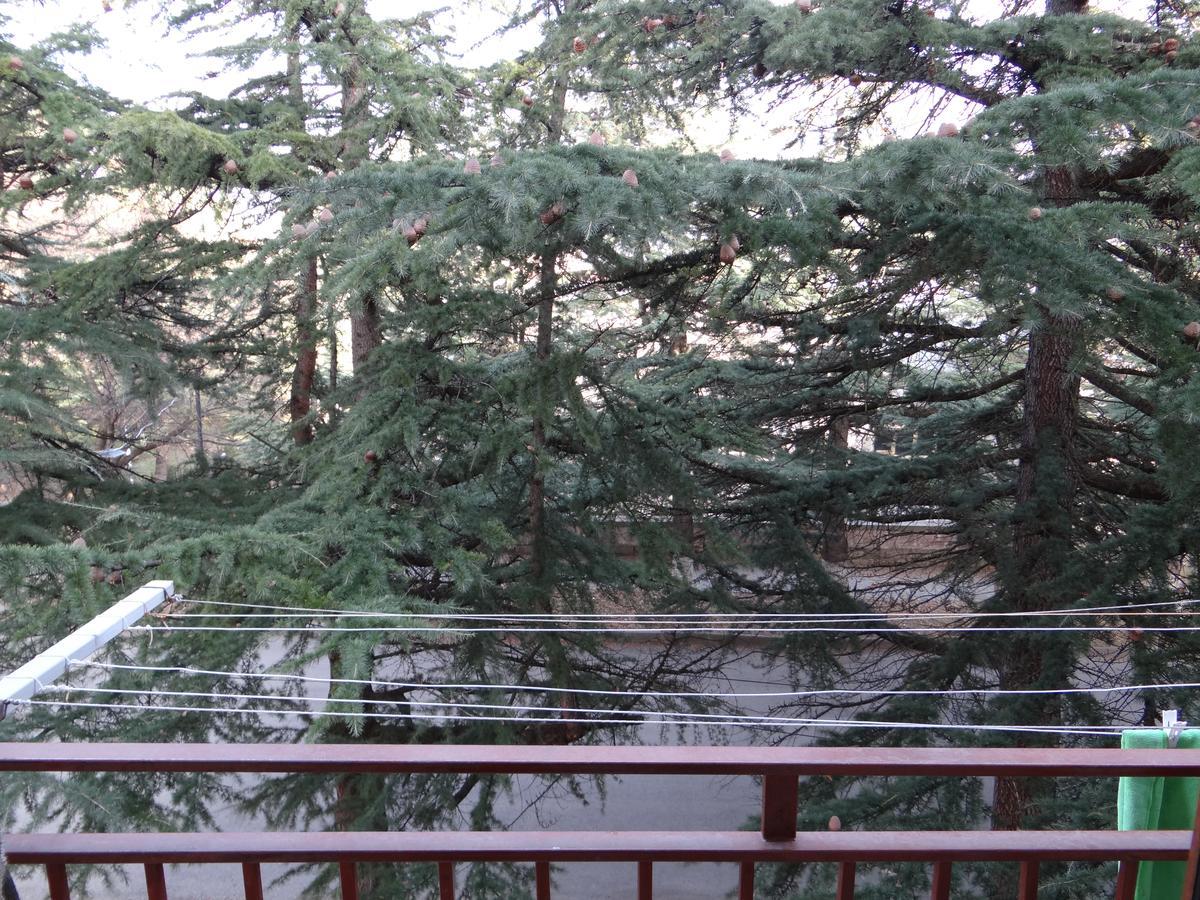 Dilijan Apartment 외부 사진
